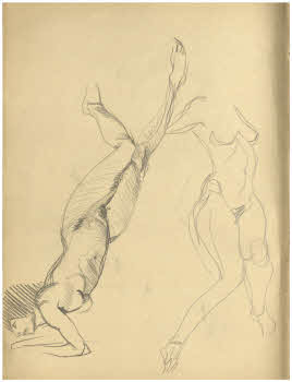 Visualizza l'immagine "FD Album 12, 5 v."